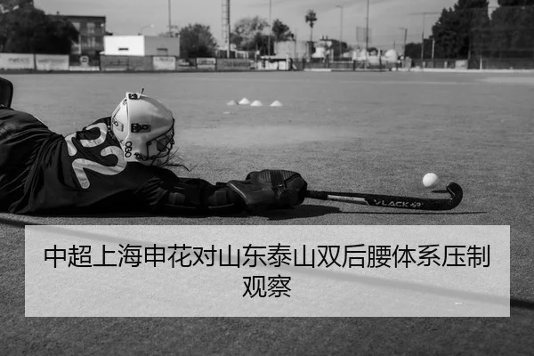 中超上海申花对山东泰山双后腰体系压制观察